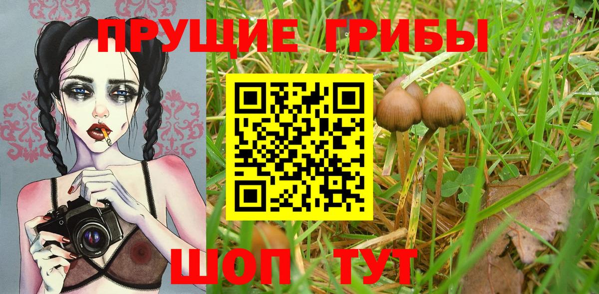 Псилоцибиновые грибы Magic Shrooms  Вход с VPN  Волхов 